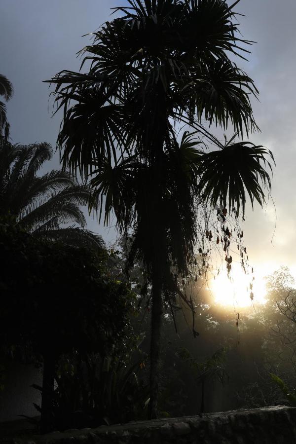 Jade Jungle Resort Teakettle Village ภายนอก รูปภาพ