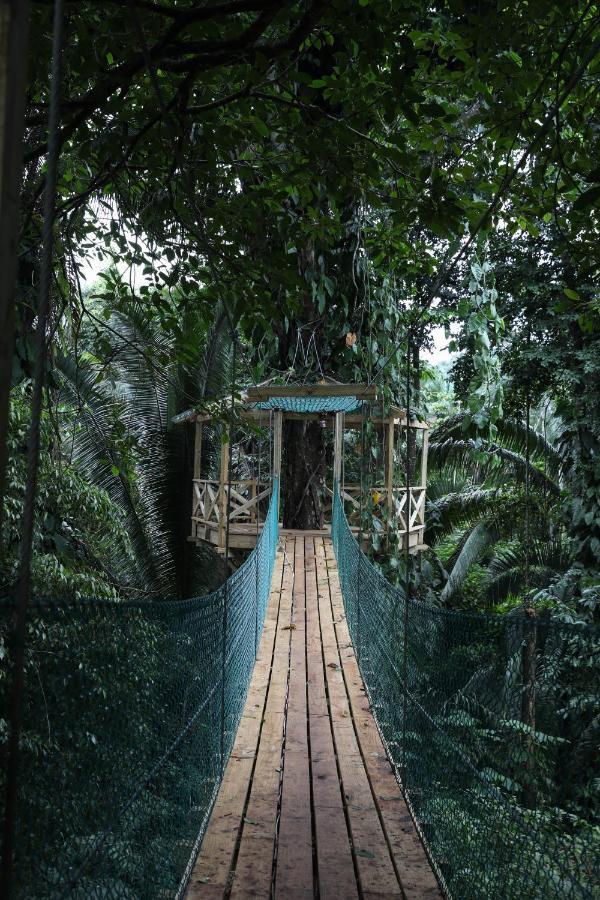 Jade Jungle Resort Teakettle Village ภายนอก รูปภาพ